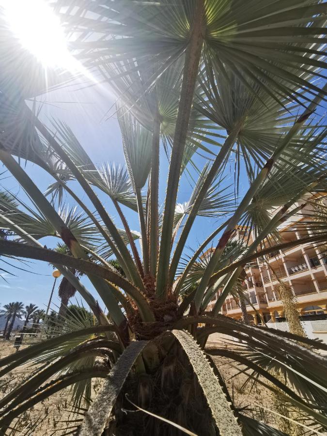 Spain Apartments Mar De Cristal Exterior photo